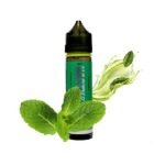 جویس نعنا نستی Nasty LIQ 05 Spearmint 60ML