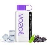 Vozol Grape Ice 12000 Puff Disposable