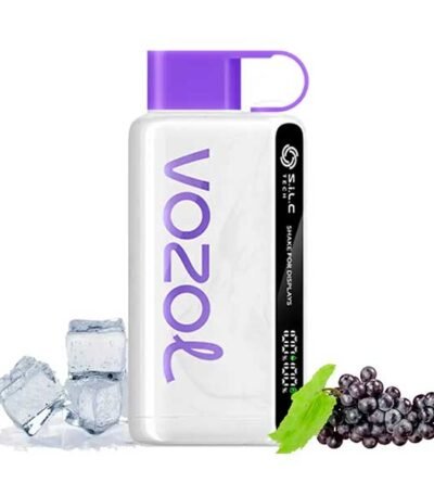 Vozol Grape Ice 12000 Puff Disposable