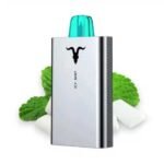 پاد یکبار مصرف نعنا یخ ایگنایت ۵۰۰۰ پاف Ignite V50 Mint Ice 5000 Disposable
