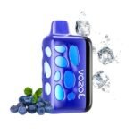 پاد یکبار مصرف ریو ۴۰۰۰۰ پاف وزول طعم بلوبری یخ Vozol Rave 40000 Blueberry Ice