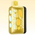پاد یکبار مصرف ریو ۴۰۰۰۰ پاف وزول انبه یخ Vozol Rave 40000 Puffs Mango Ice